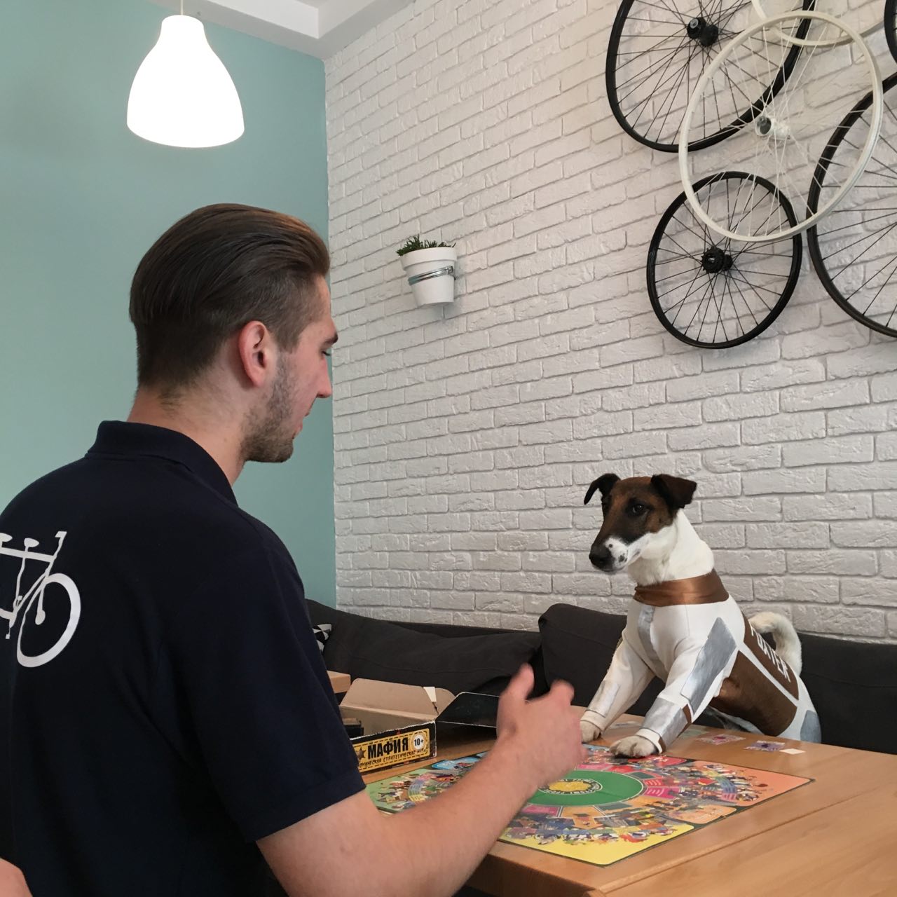 київські кафе, куди можна приходити з собаками