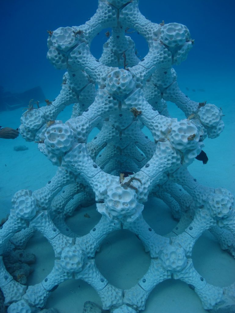 Коралові рифи 3Д