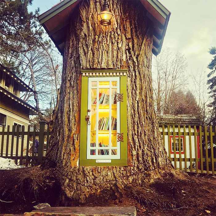 бібліотека в дереві