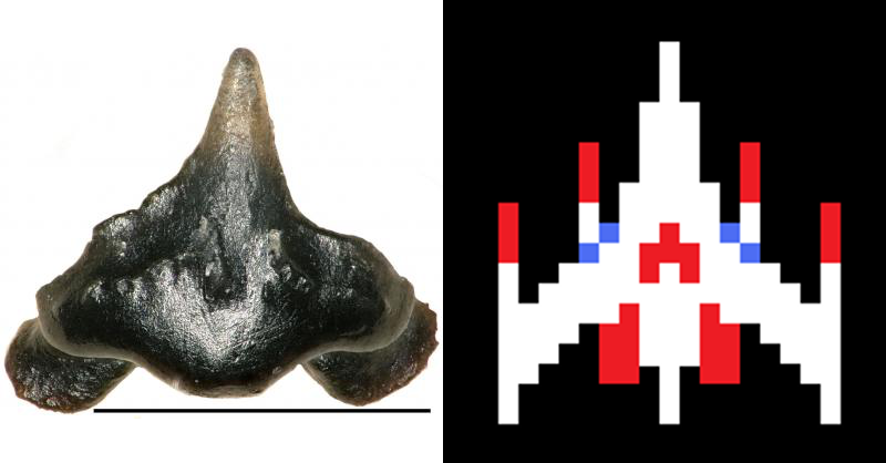 акулу із зубами в формі космічного корабля