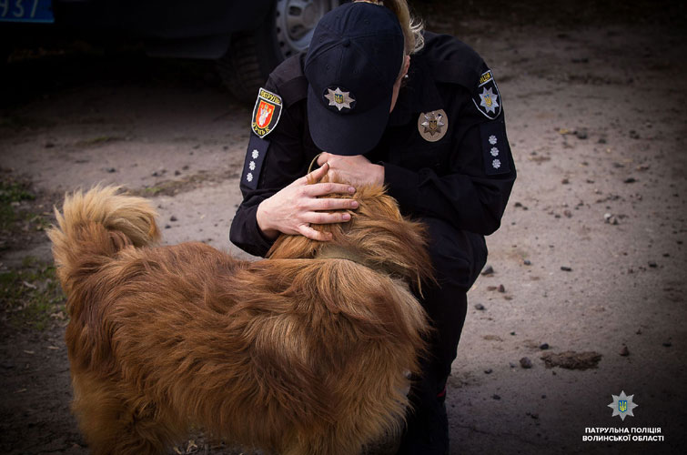 Українські патрульні влаштували фотосесію заради безпритульних собак