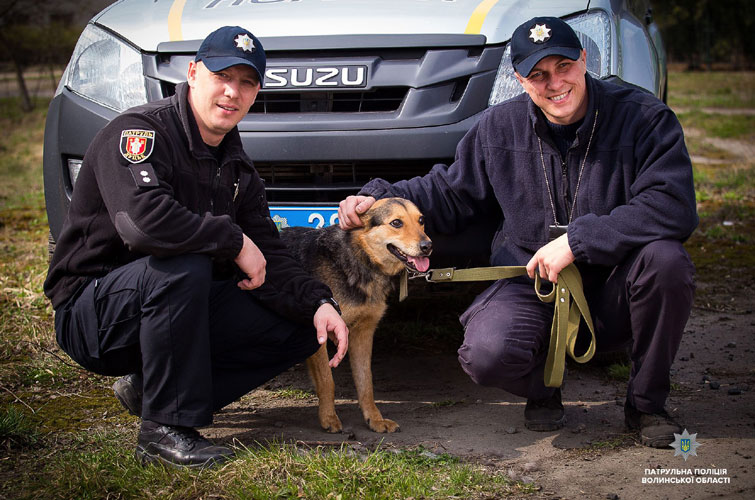 Українські патрульні влаштували фотосесію заради безпритульних собак