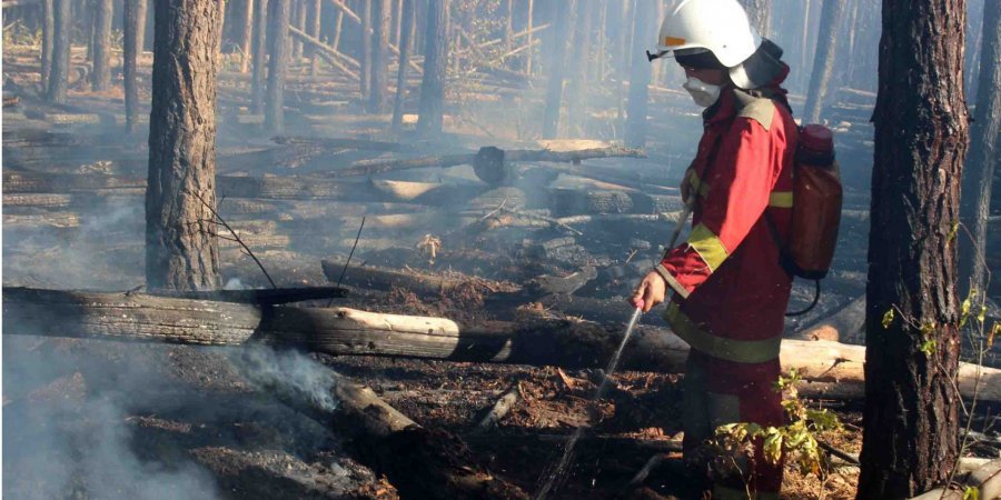 Рятувальники розповіли про ситуацію з пожежею у Чорнобильській зоні