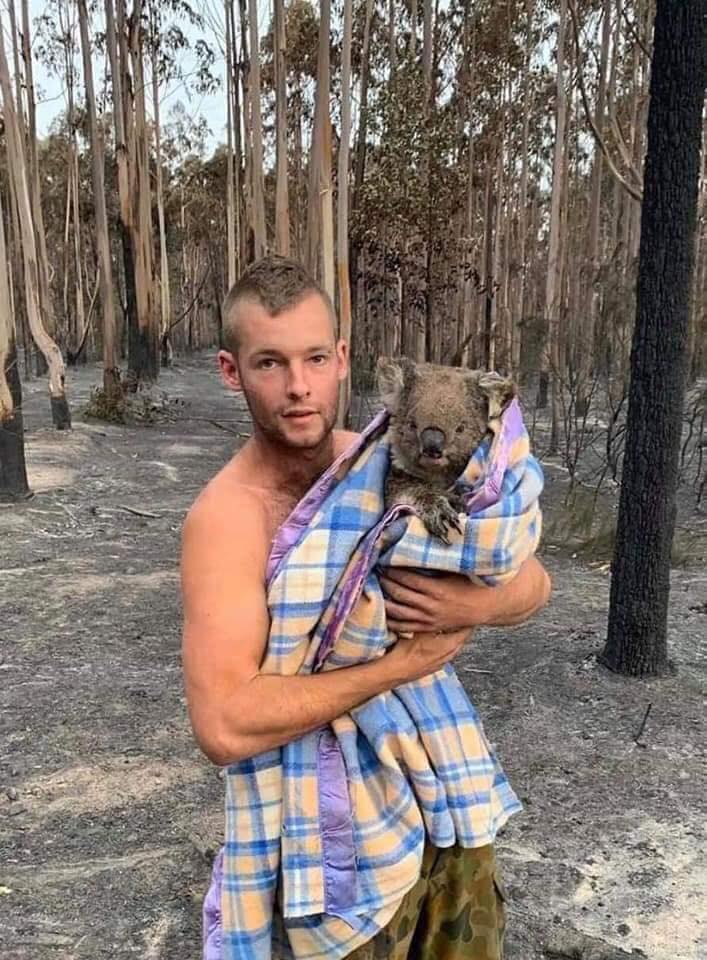 лісові пожежі австралія