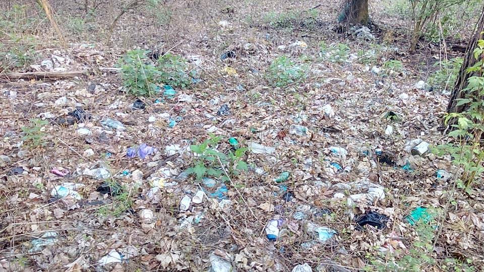 Українець за час карантину зібрав 2,5 тонни сміття, гуляючи лісом