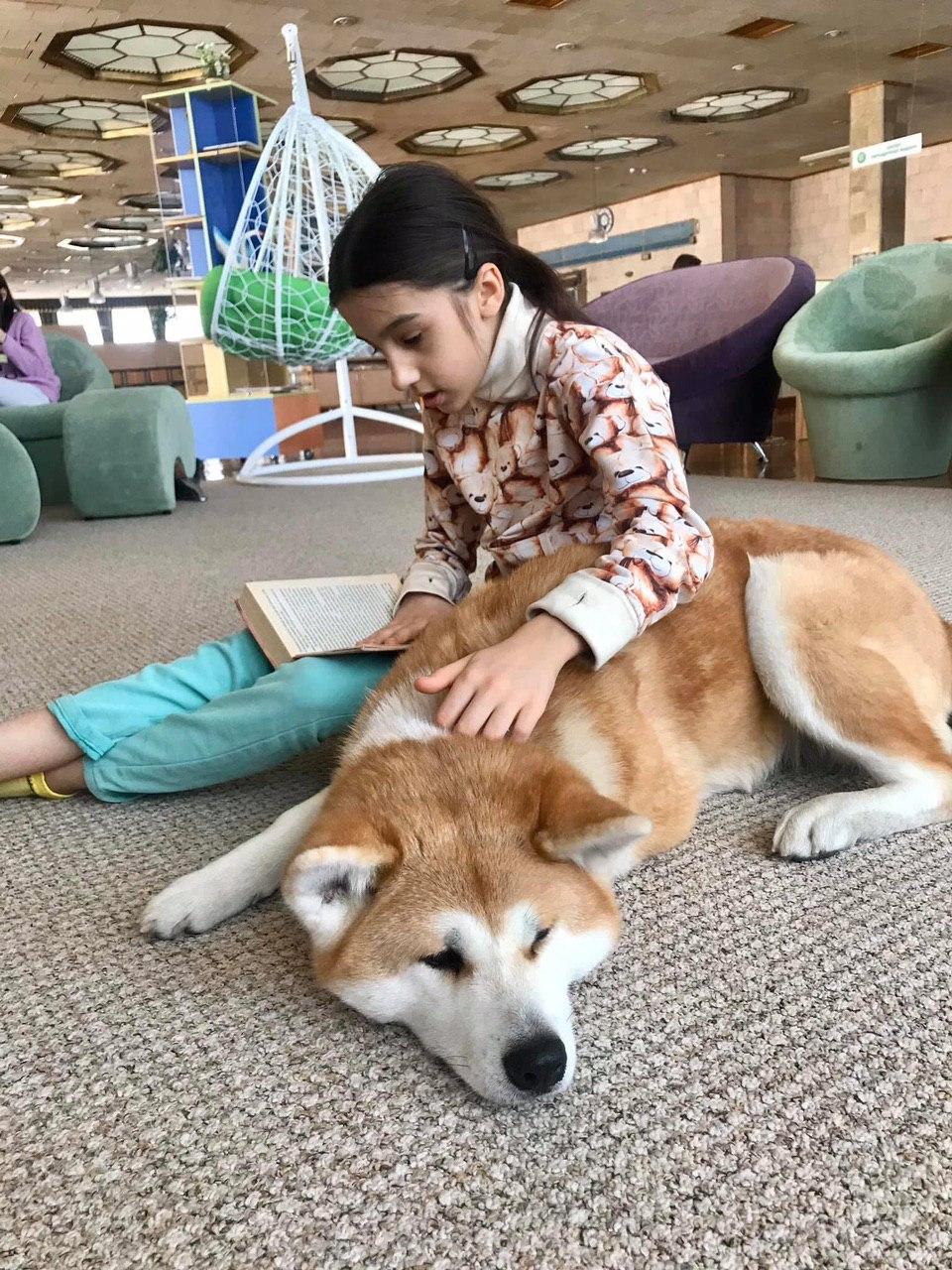 Собака-терапевт: як у Херсоні бібліотека впроваджує каністерапію