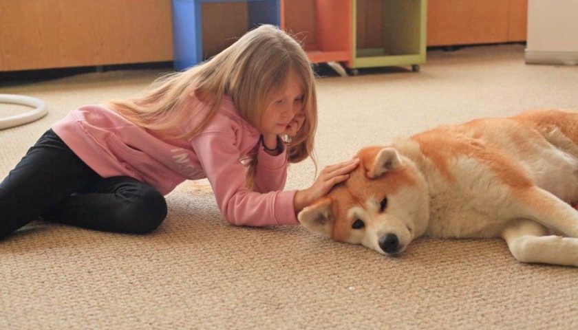 Собака-терапевт: як у Херсоні бібліотека впроваджує каністерапію