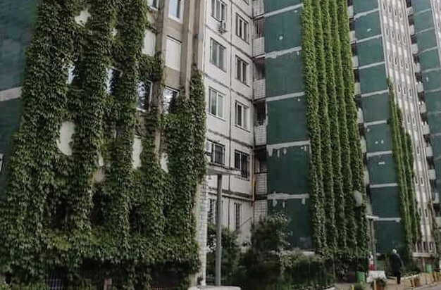 Вертикальное озеленение в квартире – природа в вашем доме
