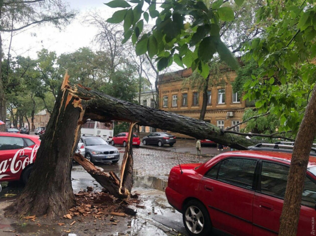 Затоплені вулиці та поламані дерева: в Одесі сталася потужна злива