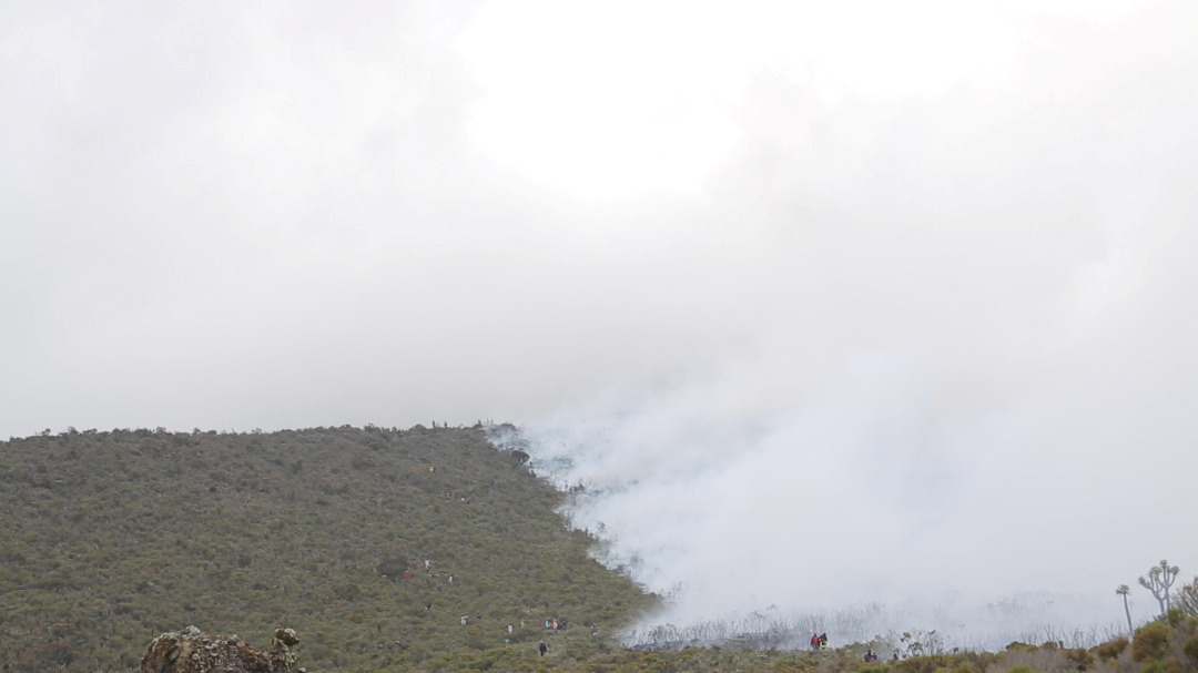 В Африці на горі Кіліманджаро третій день горять ліси 