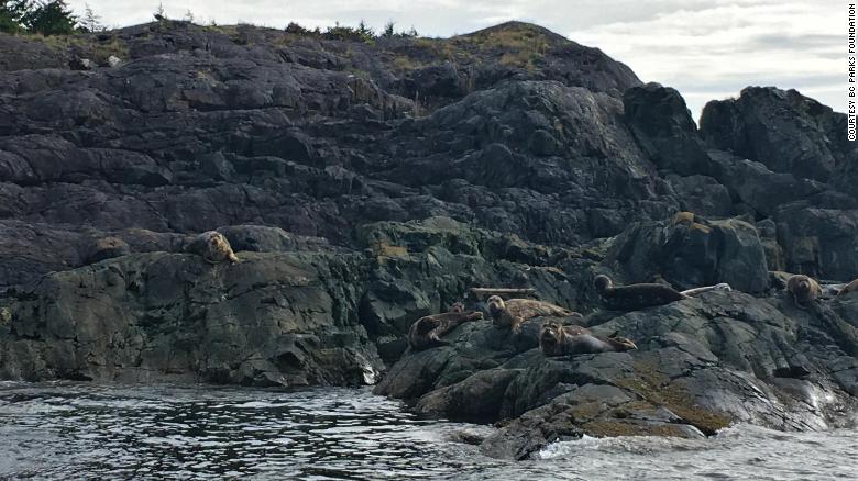 Екоактивісти з Канади зібрали $1,7 млн для покупки острова, щоб врятувати його від забудови