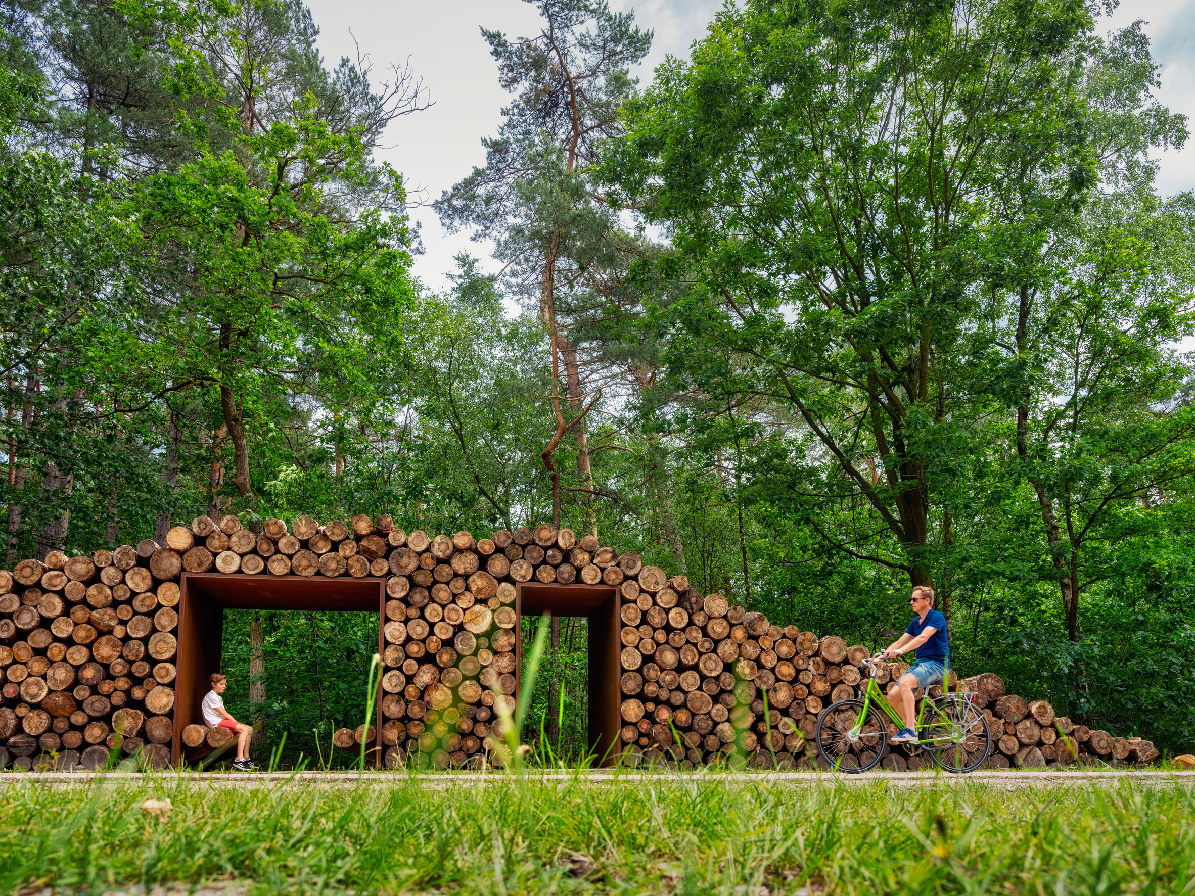Бельгійські архітектори проклали веломаршрут між верхівками дерев: фото