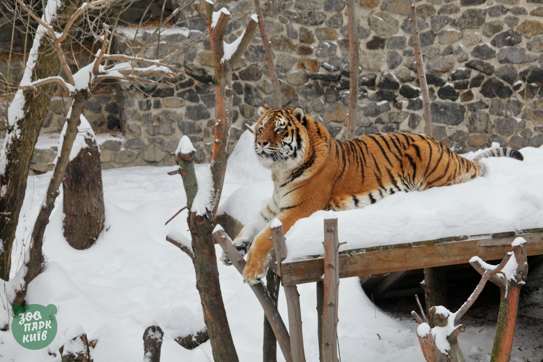 київ зоопарк зима сніг