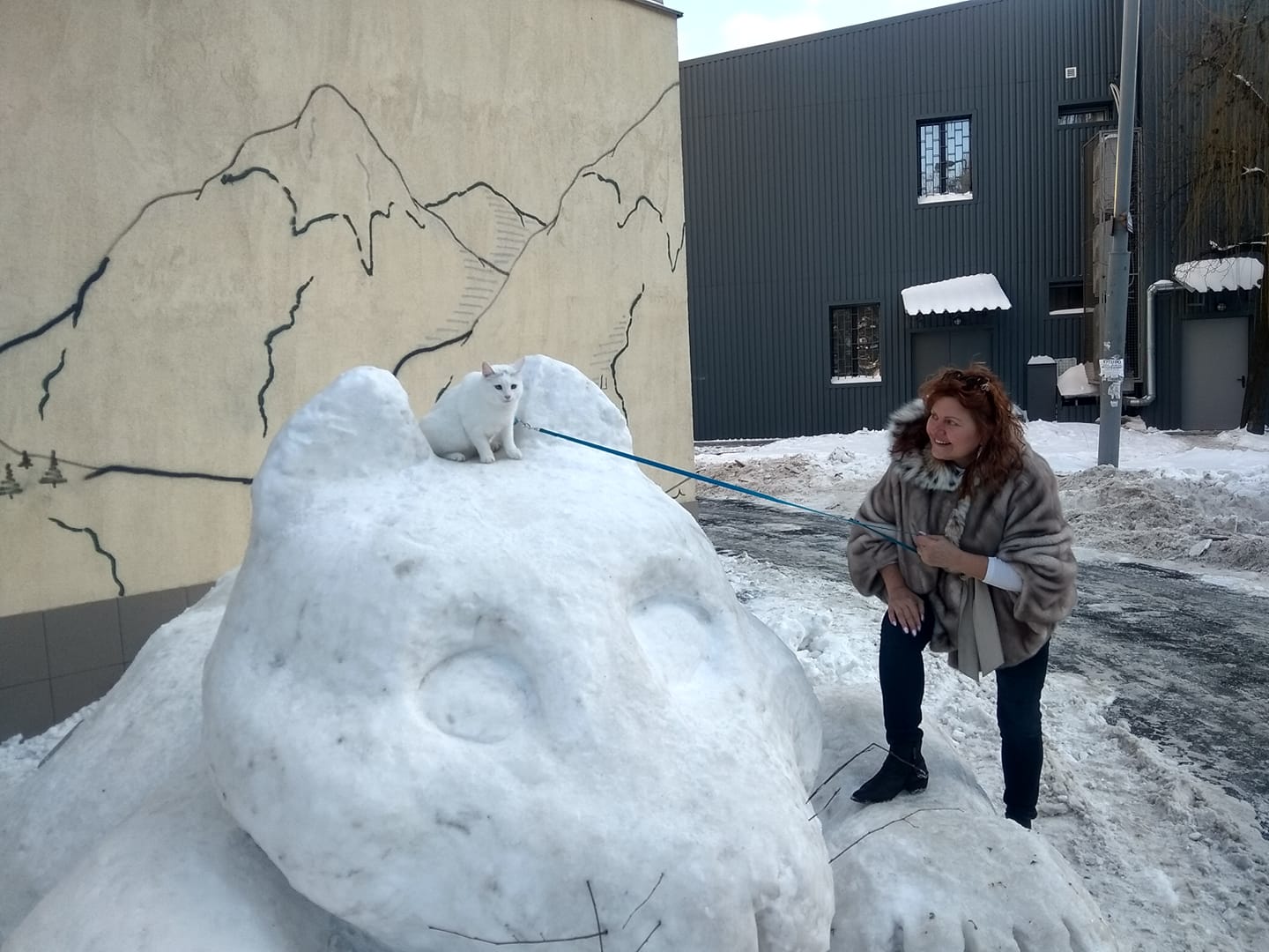 Сніговий кіт у Києві