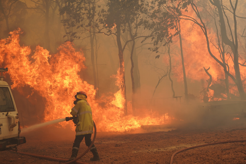 Австралію з лютого охопили лісові пожежі