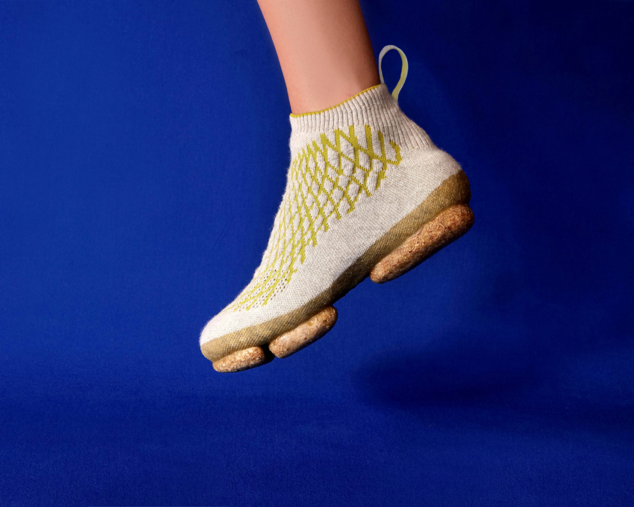 У Німеччині створили екологічні кросівки з собачої шерсті та грибного міцелію