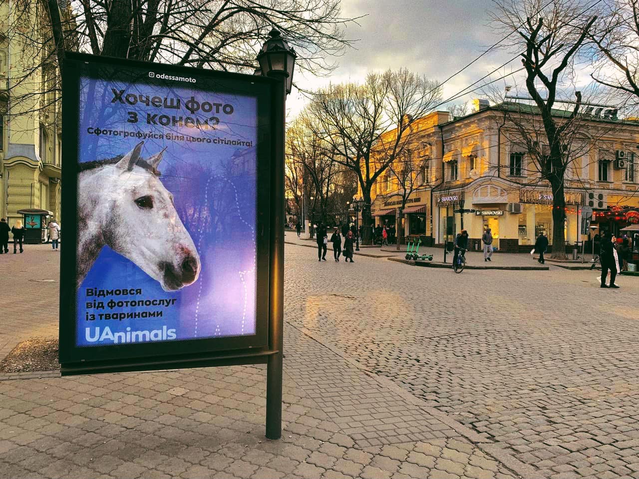 Українські активісти запустили кампанію проти фотопослуг із тваринами