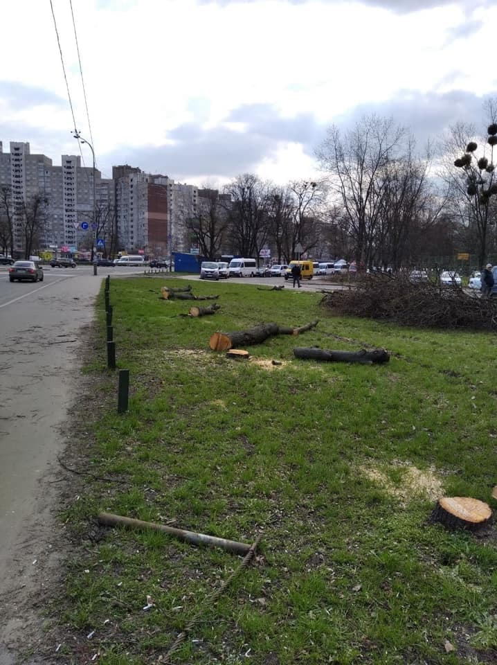 Спилювання дерев на Теремках