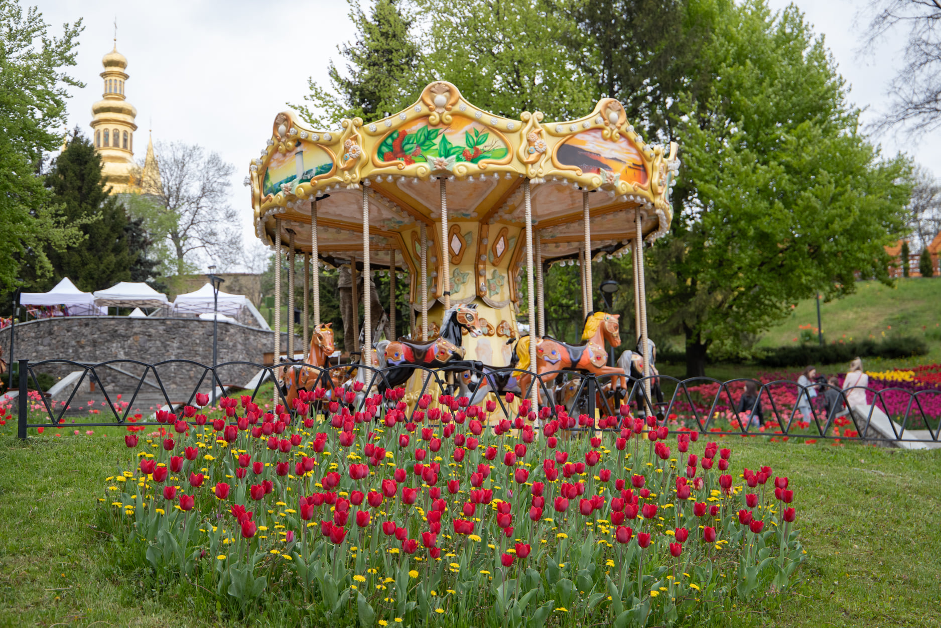 На Співочому полі в Києві відкрилася виставка тюльпанів