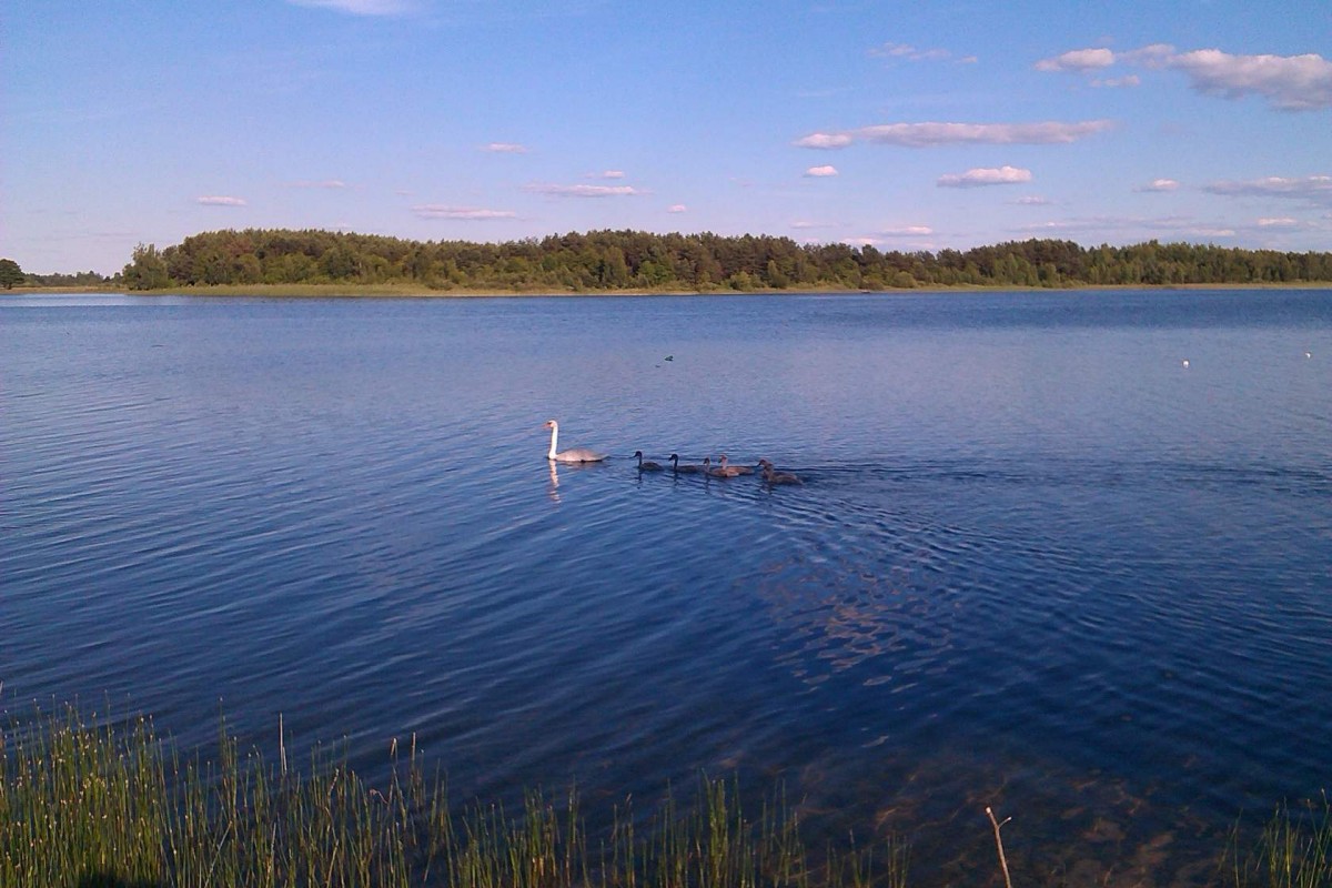 озера україни