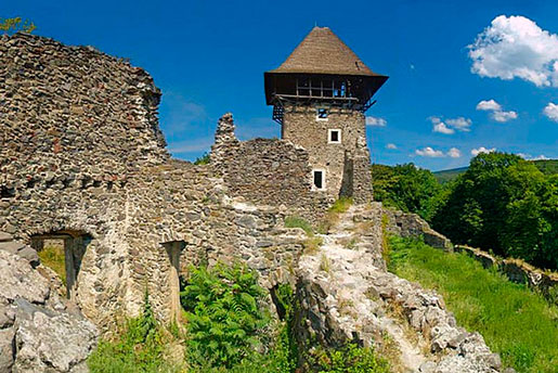 Невицький замок 