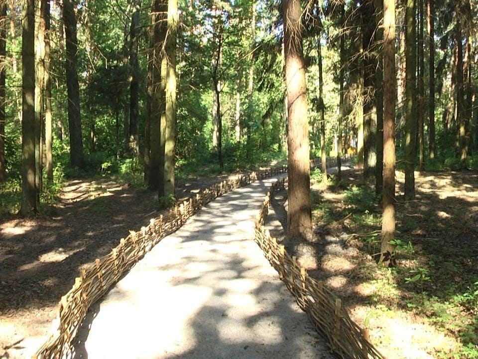 У лісі поблизу Житомира відкрили рекреаційну лісову стежку