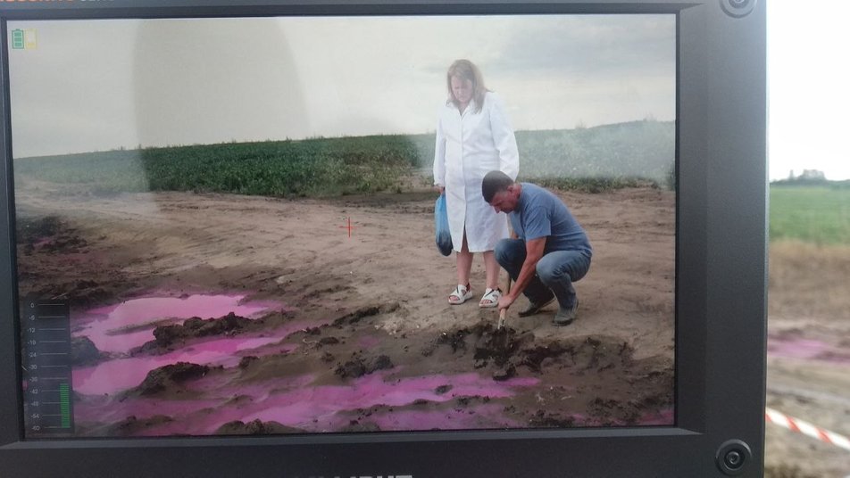 Рожеві хімічні калюжі у полі на Рівненщині