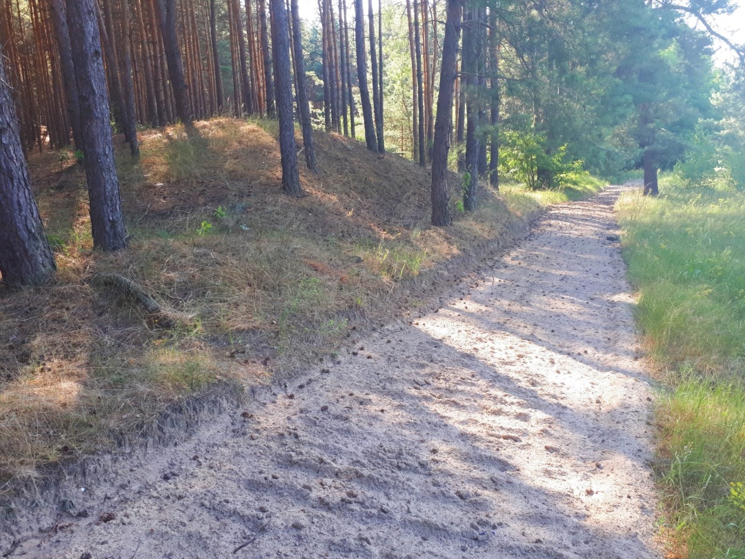 Ліси Черкаської області