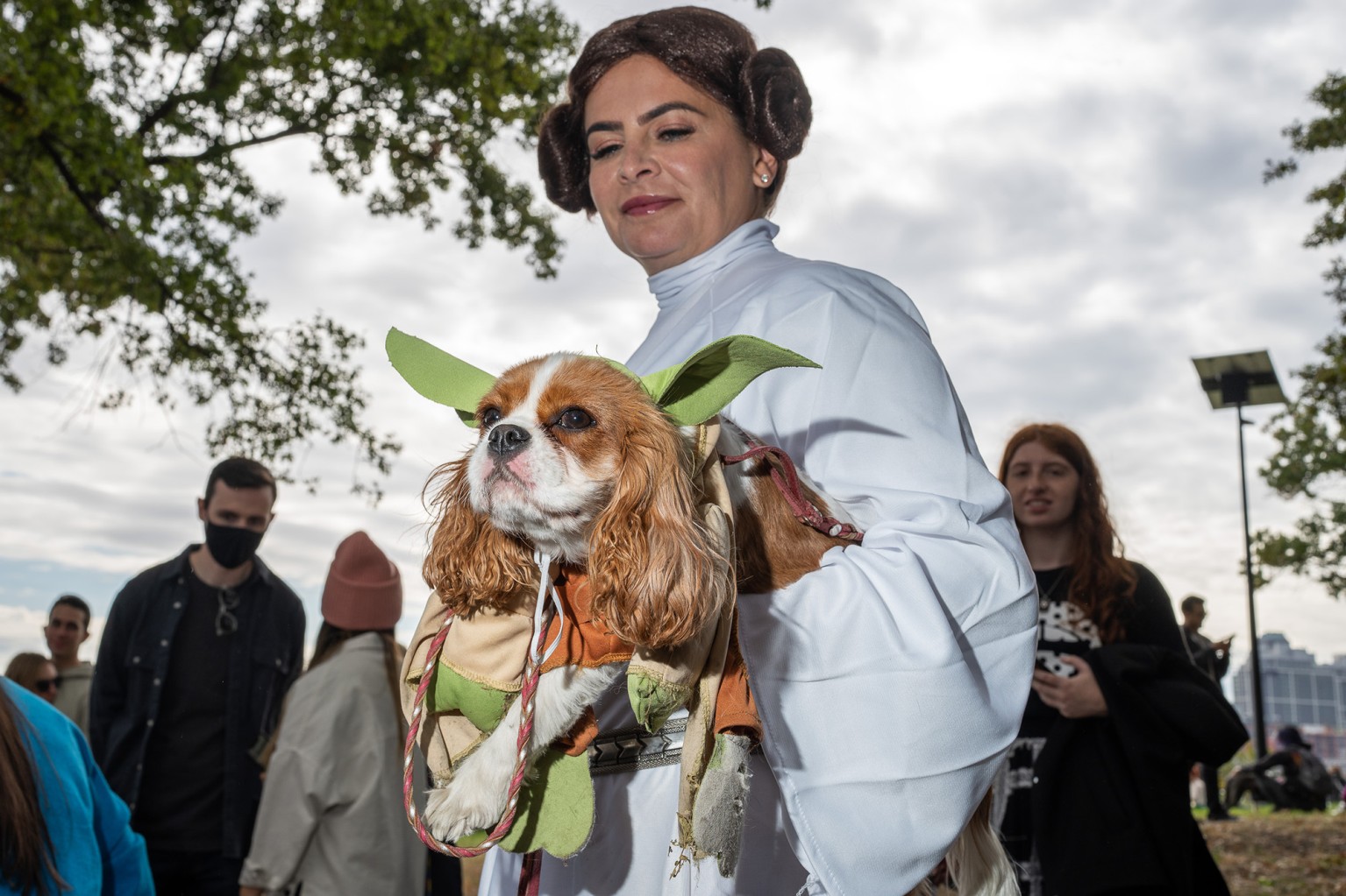 костюмований парад собак