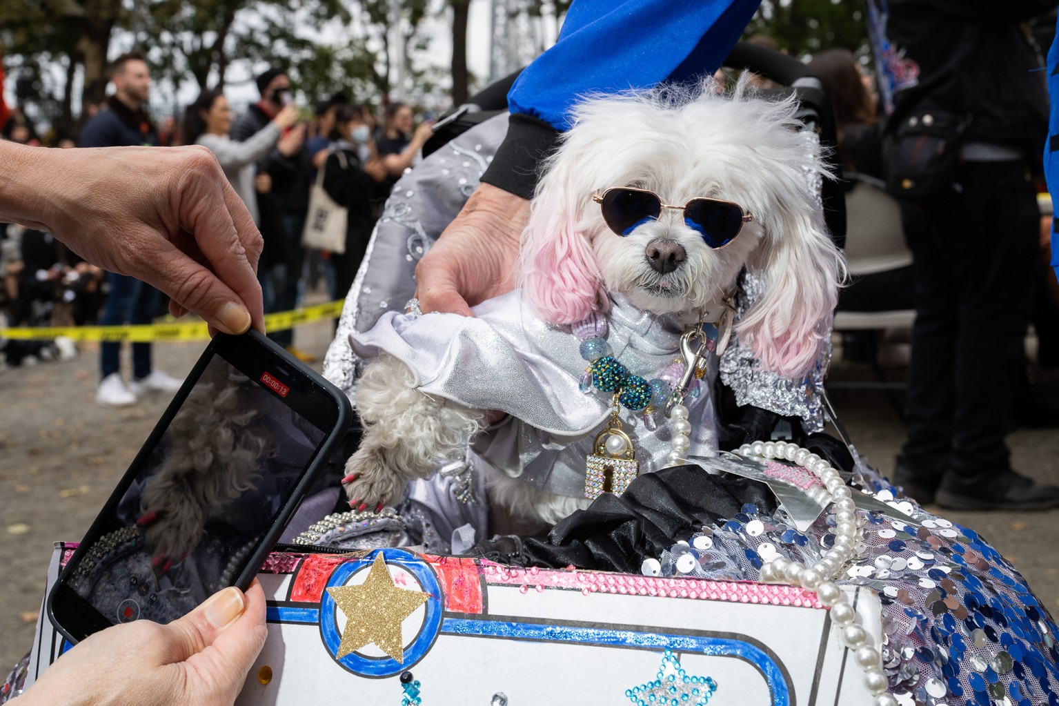 костюмований парад собак