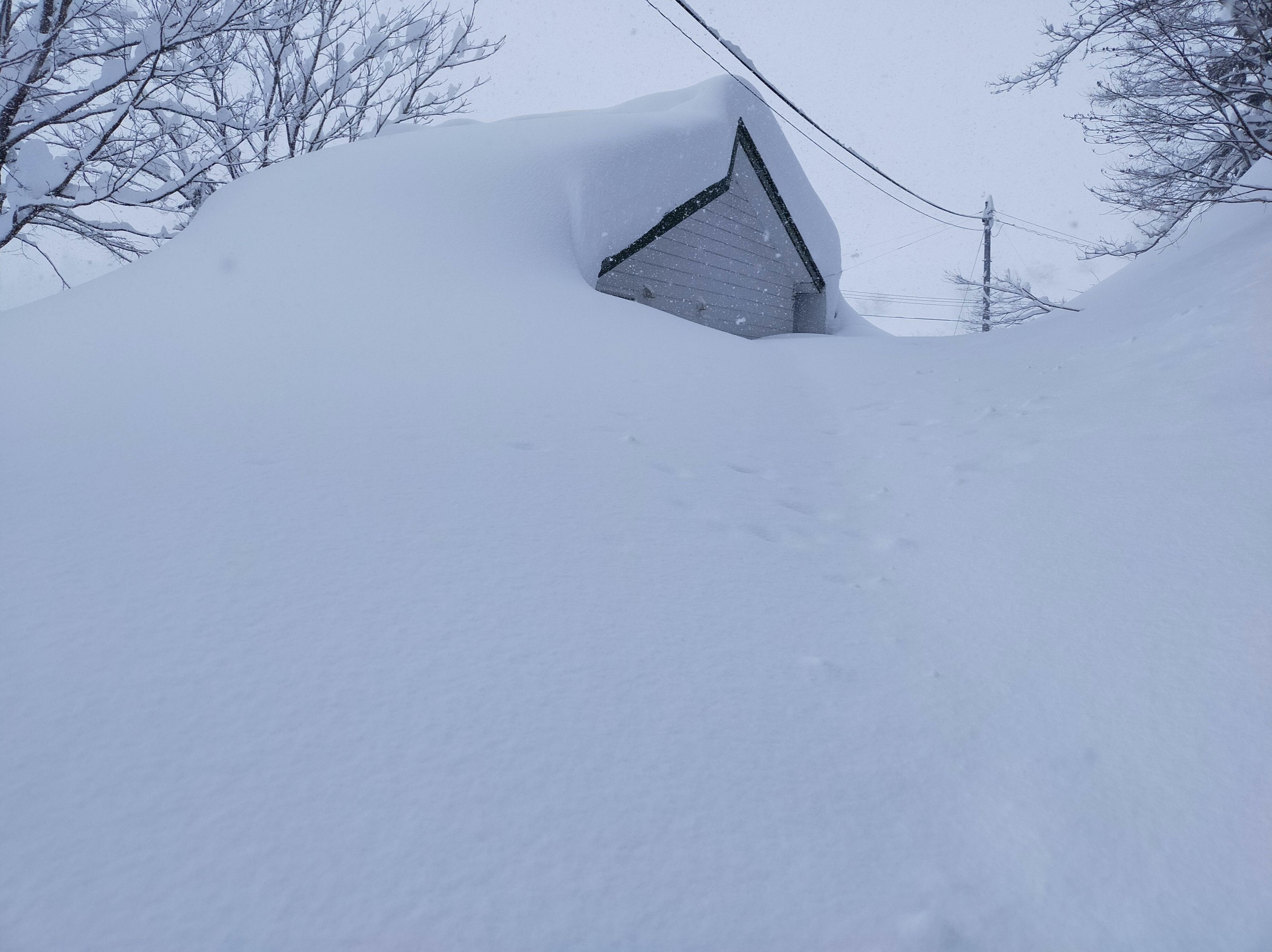 Японія снігопад