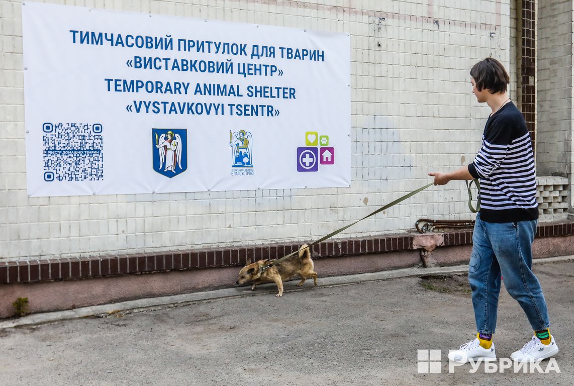 Коти і собаки, яких зачепила війна: чим у Києві живе тимчасовий притулок на ВДНГ і як допомогти