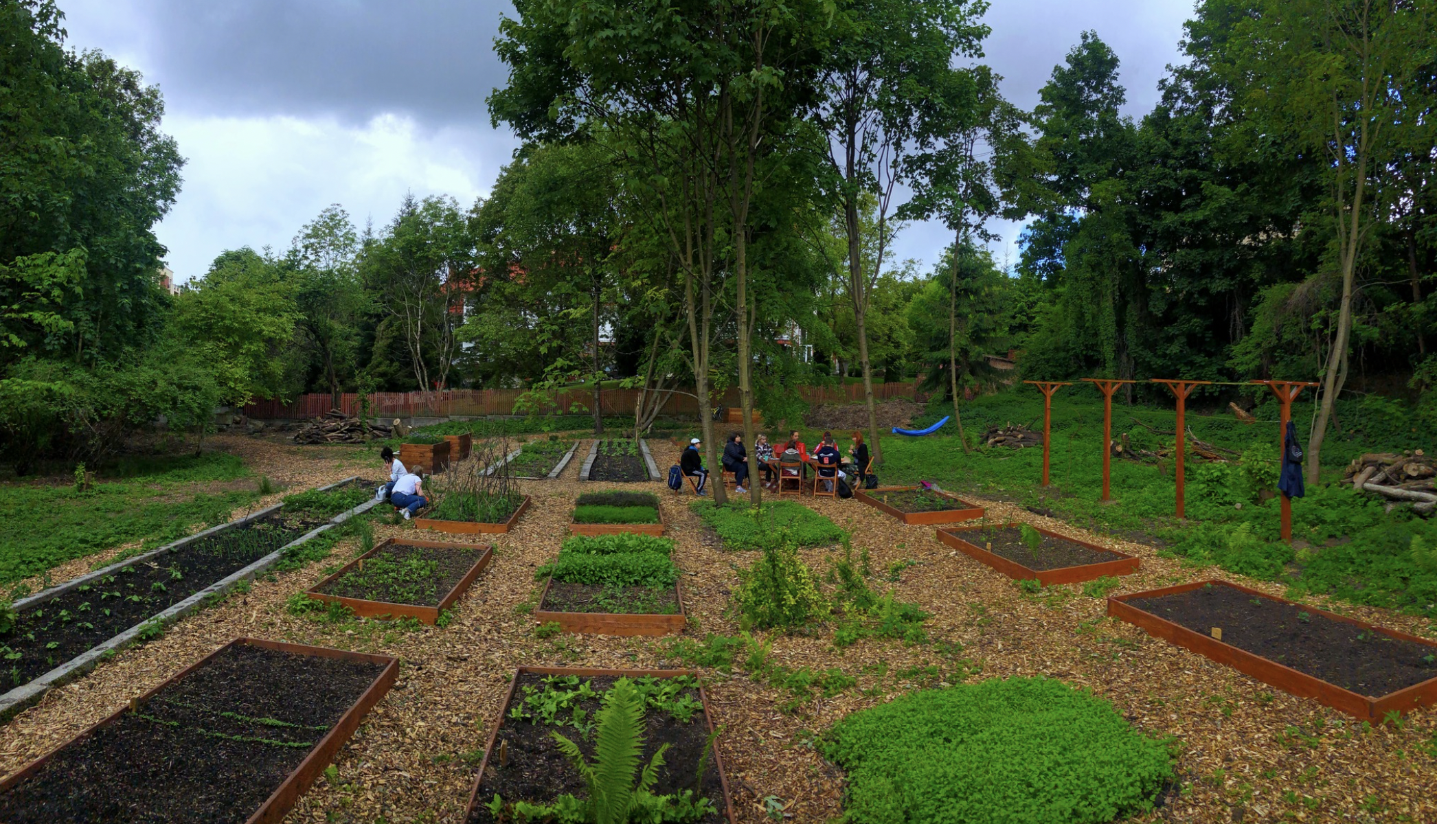 У Львові міський простір садівництва та городництва допомагає переселенцям пережити стрес