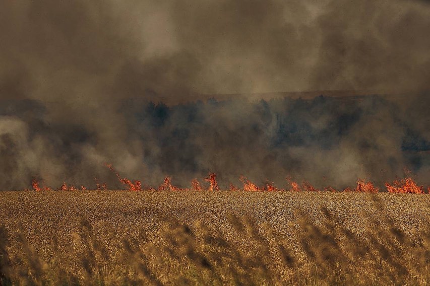 поля горять україна