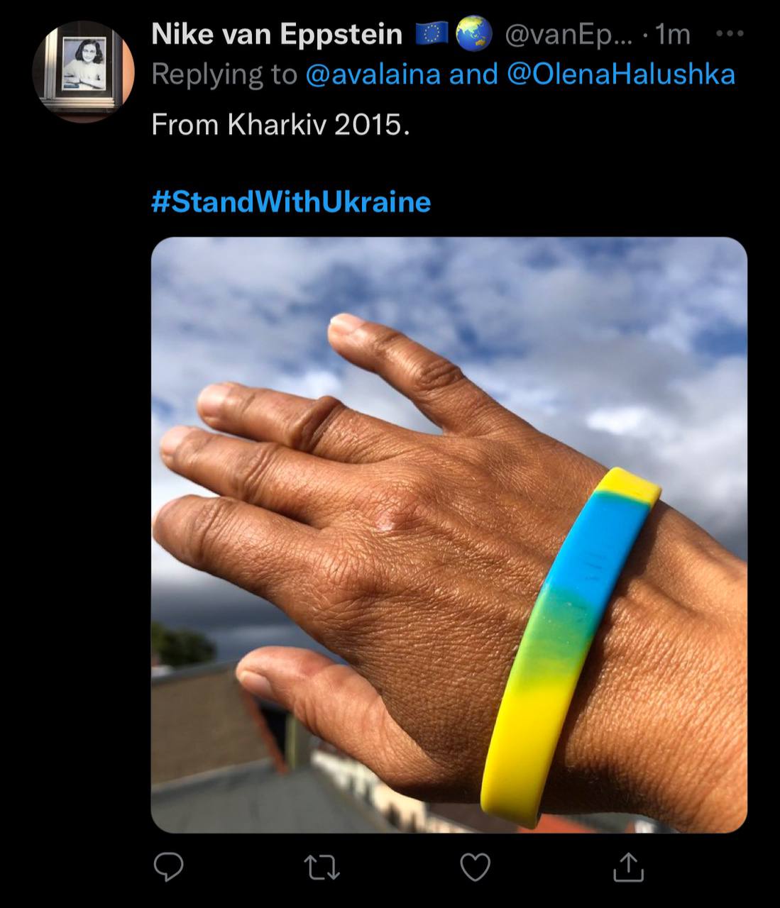Ізюм у Twitter запустили флешмоб на підтримку Україну
