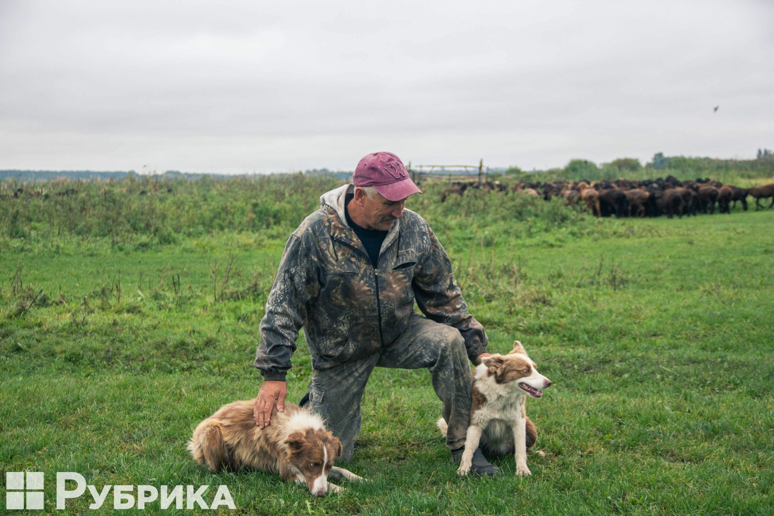 Володимир Альохін — український фермер з Донеччини
