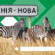 russia plans to steal animals from occupied Askania-Nova nature reserve in Kherson region