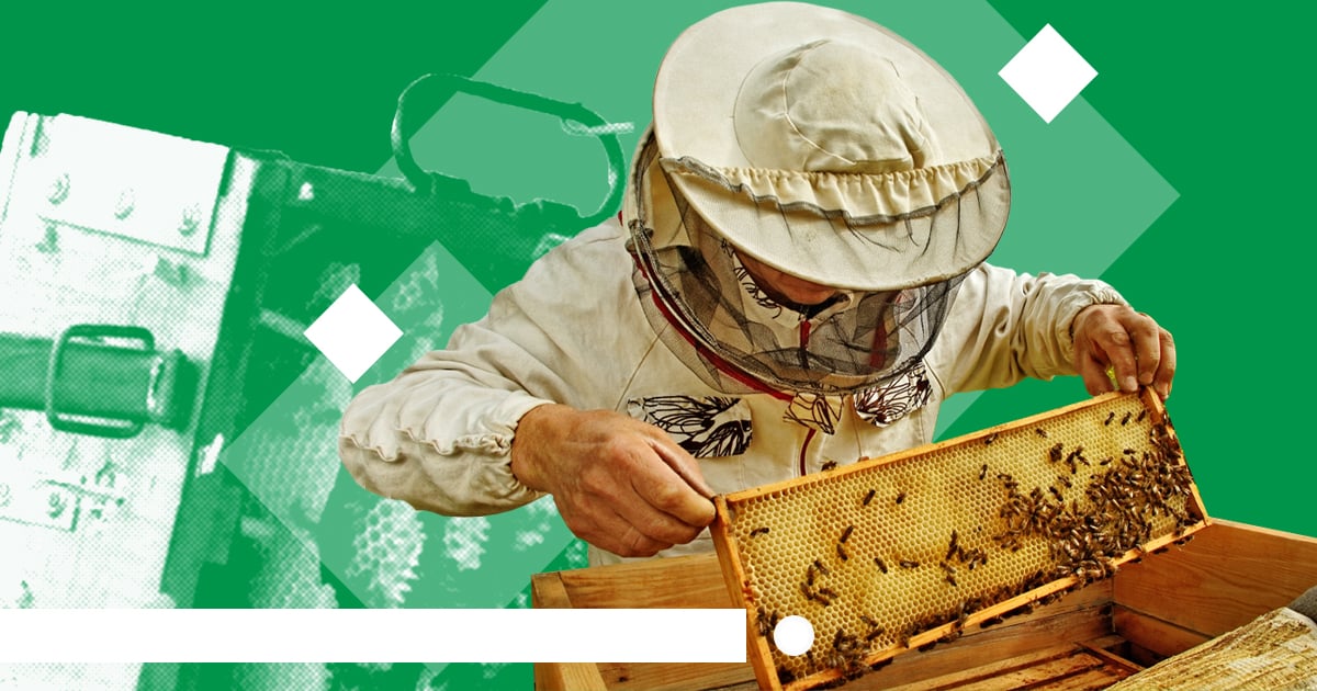 It's March: The Beekeepers' Busy Season