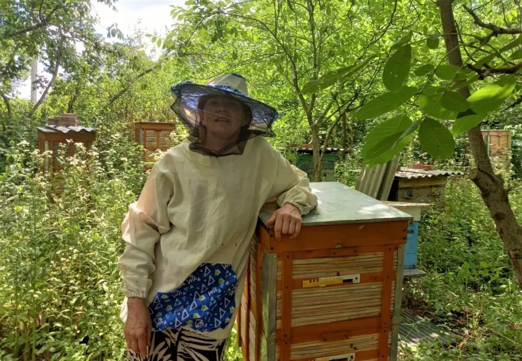 There will be honey': supporting Ukrainian beekeepers in a time of