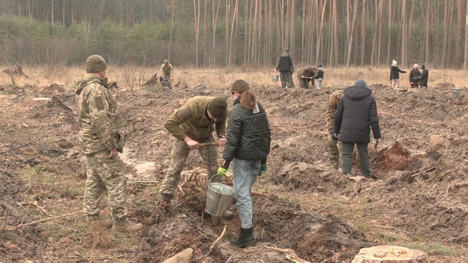 На Харківщині почали висаджувати саджанці дерев