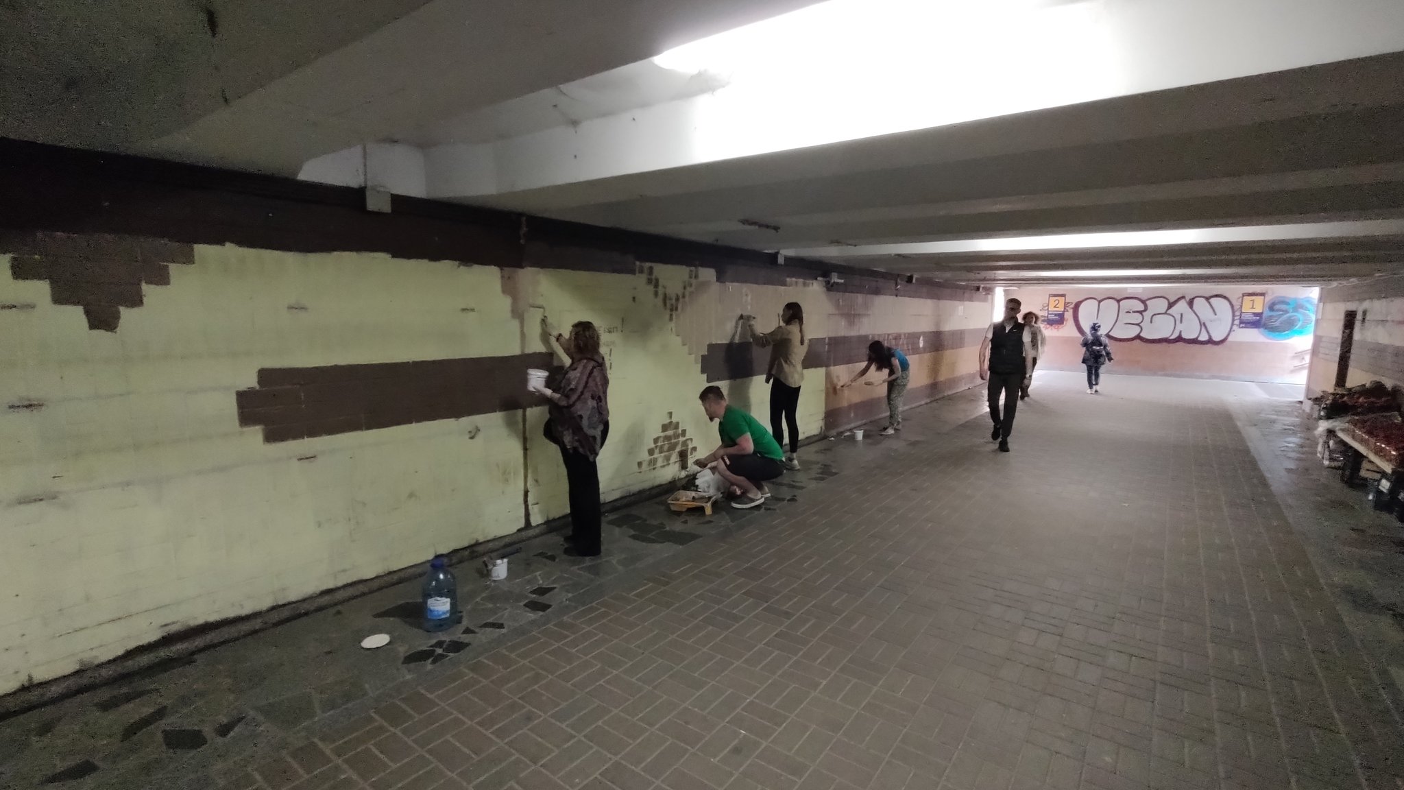Містяни самостійно перефарбували стіни підземного переходу біля метро «Теремки»