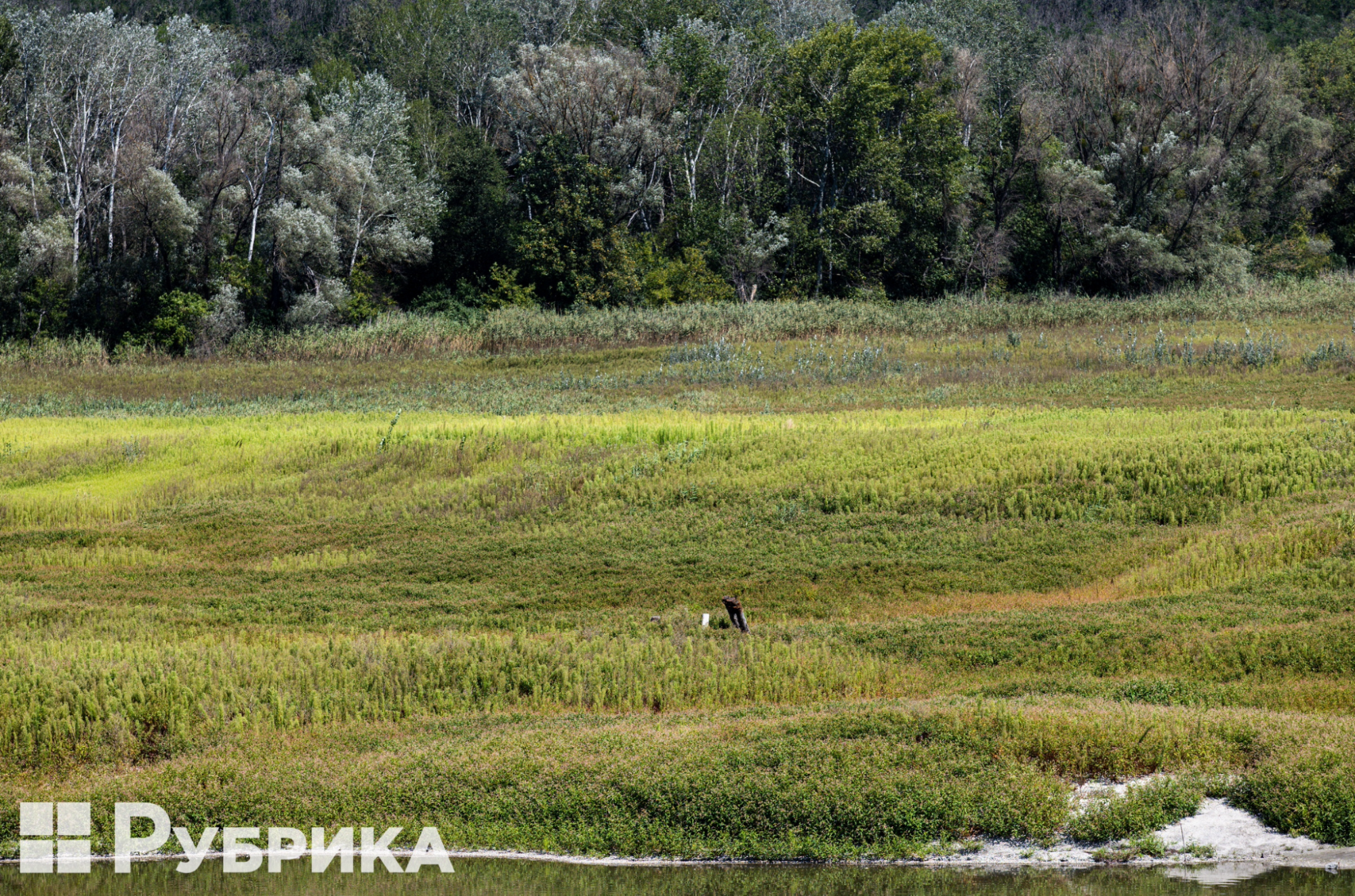 Оскільське водосховище, Харківська область