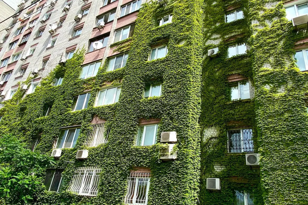 Будинки з рослинами на стінах