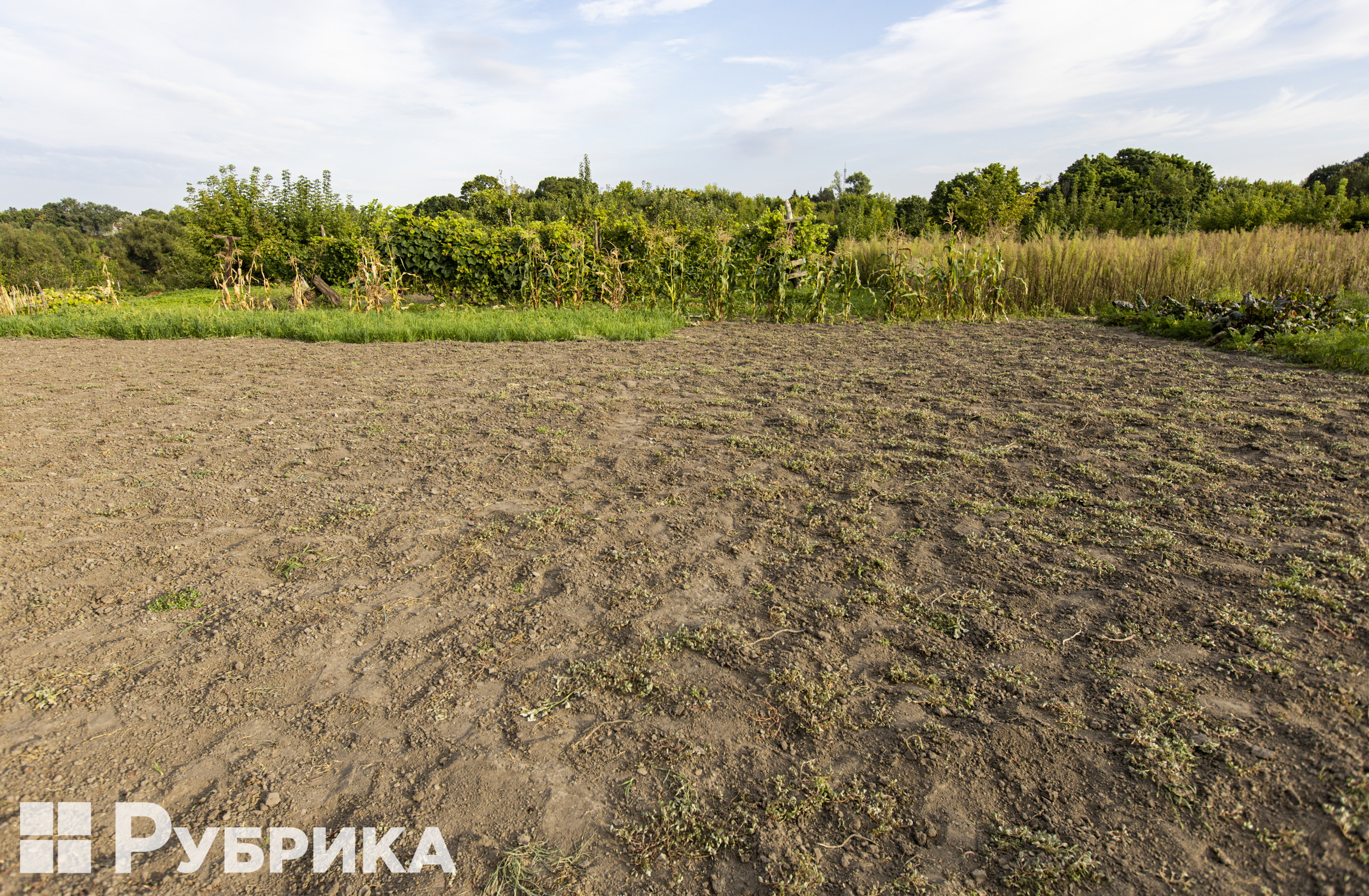 Білопілля Фоторепортаж Рубрики