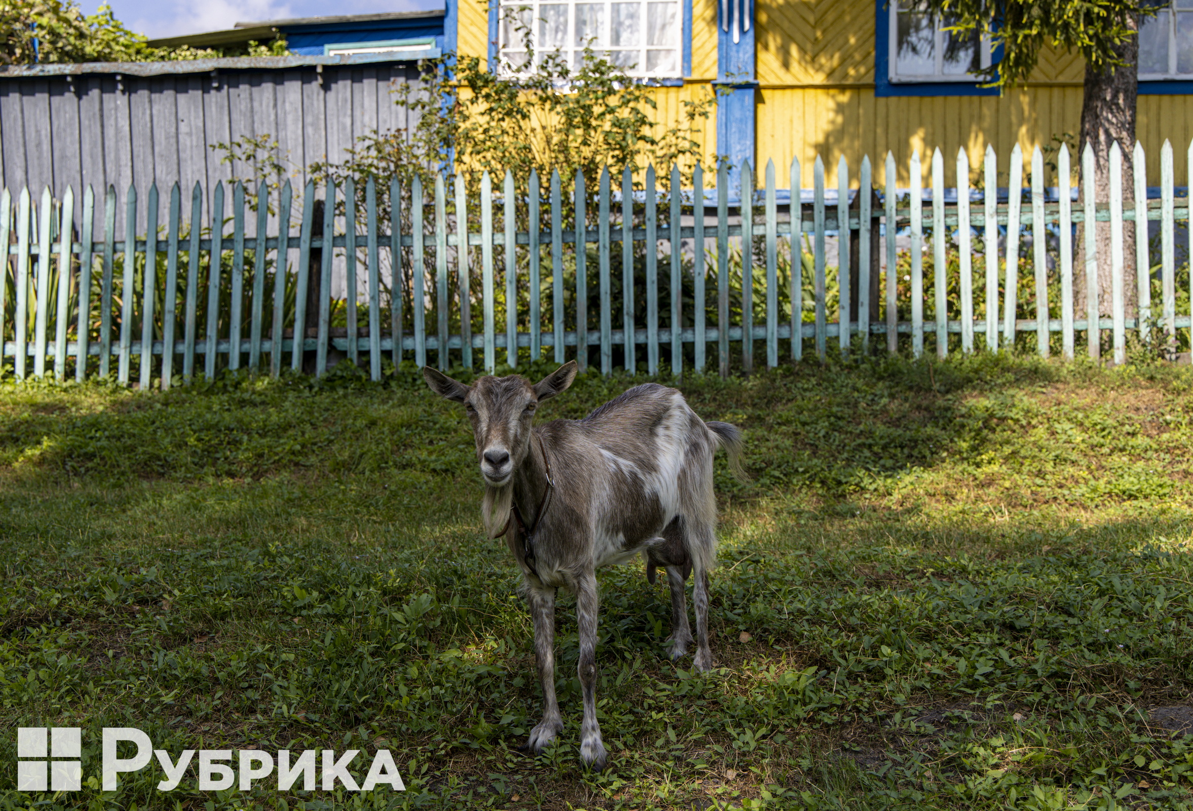 Павлівка Фоторепортаж