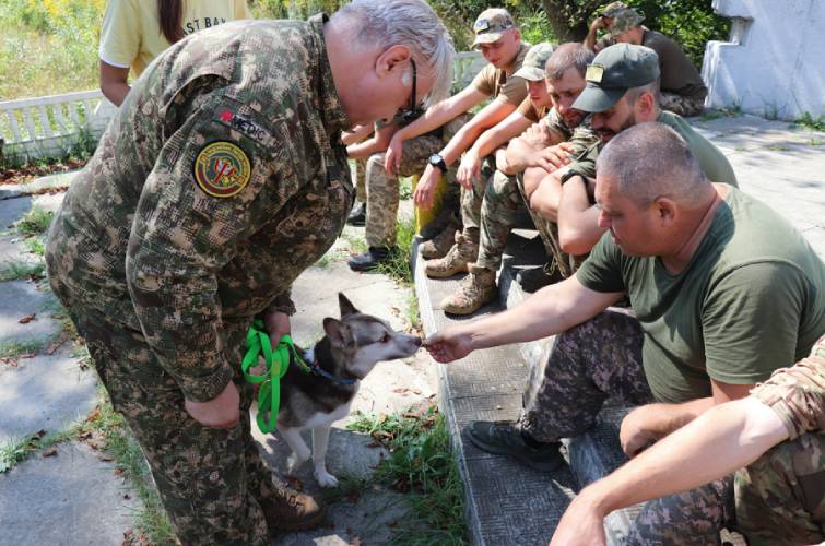 каністерапія собаки військові