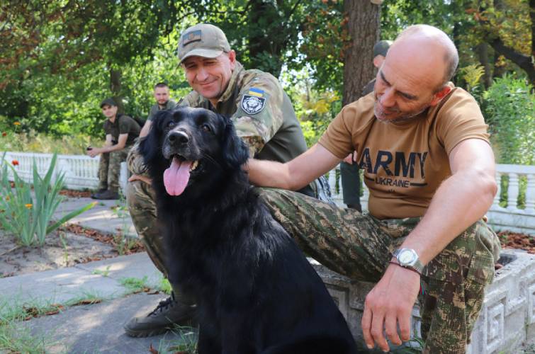каністерапія собаки військові