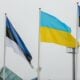 United to win: Estonia provides Ukraine with new €100 mln military aid package