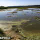Ukrainian government restricts land use of Kakhovka Reservoir only for restoration purposes