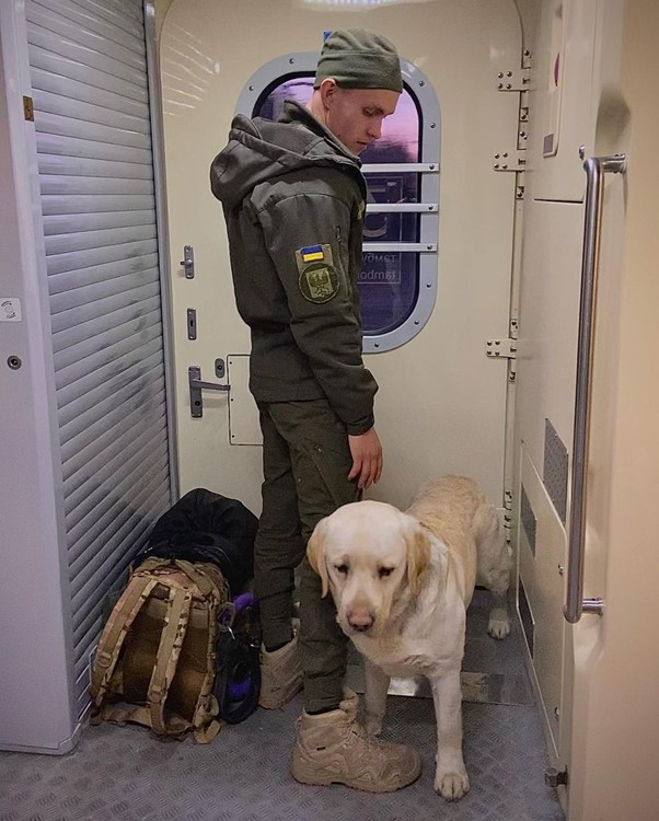 Військовий з собакою у потязі